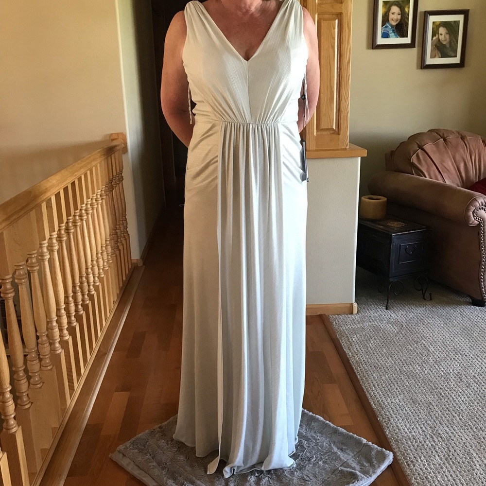 Adrianna Papell Gown